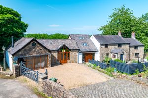 Photo 62- click for photo gallery